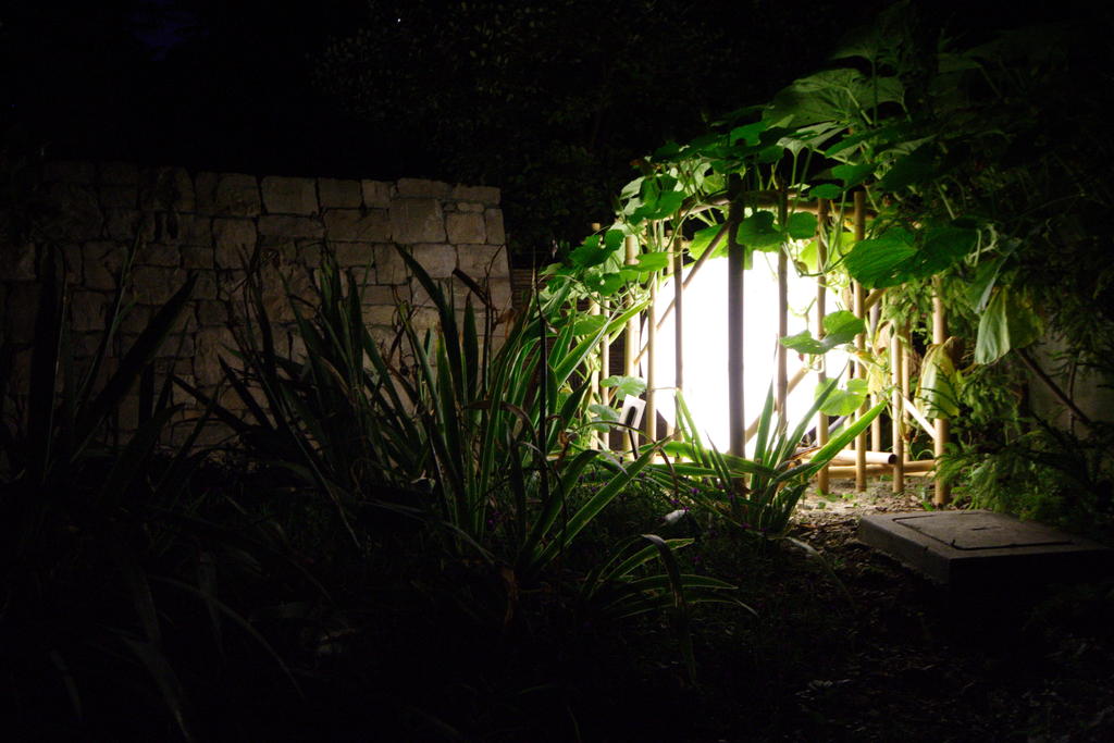 OrtoBotanico_2