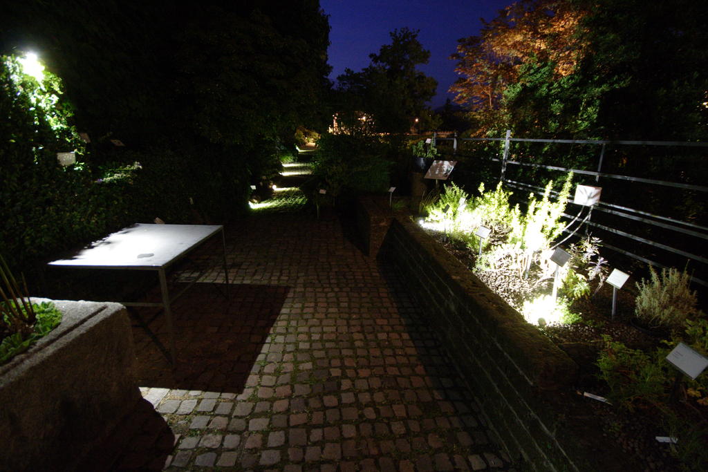 OrtoBotanico_3